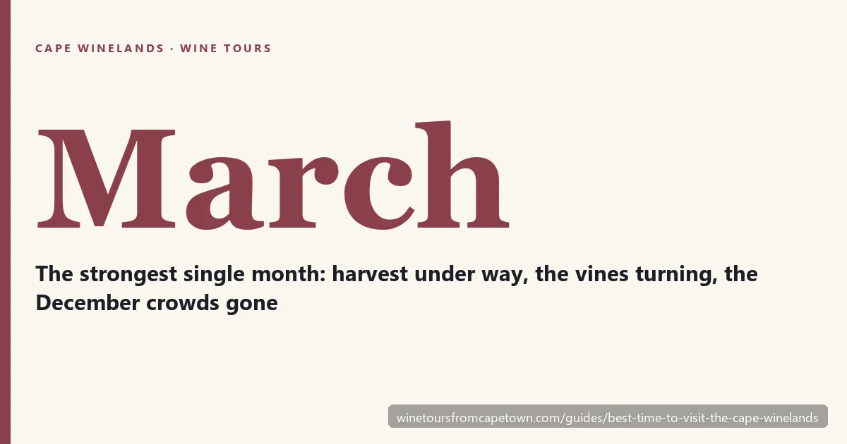 Card reading March — the strongest single month to visit the Cape Winelands, with harvest under way
