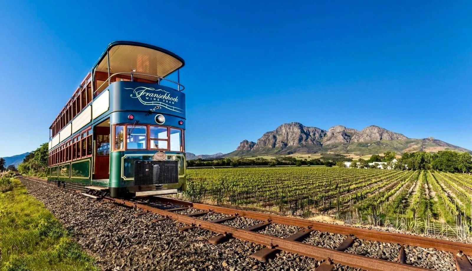 From Cape Town to Winelands Full Day Tour and Wine Tasting