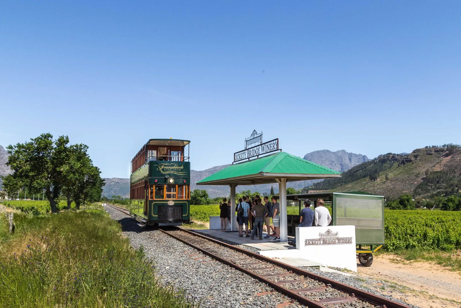 An open-sided Franschhoek Wine Tram waiting at a trackside platform between the vines