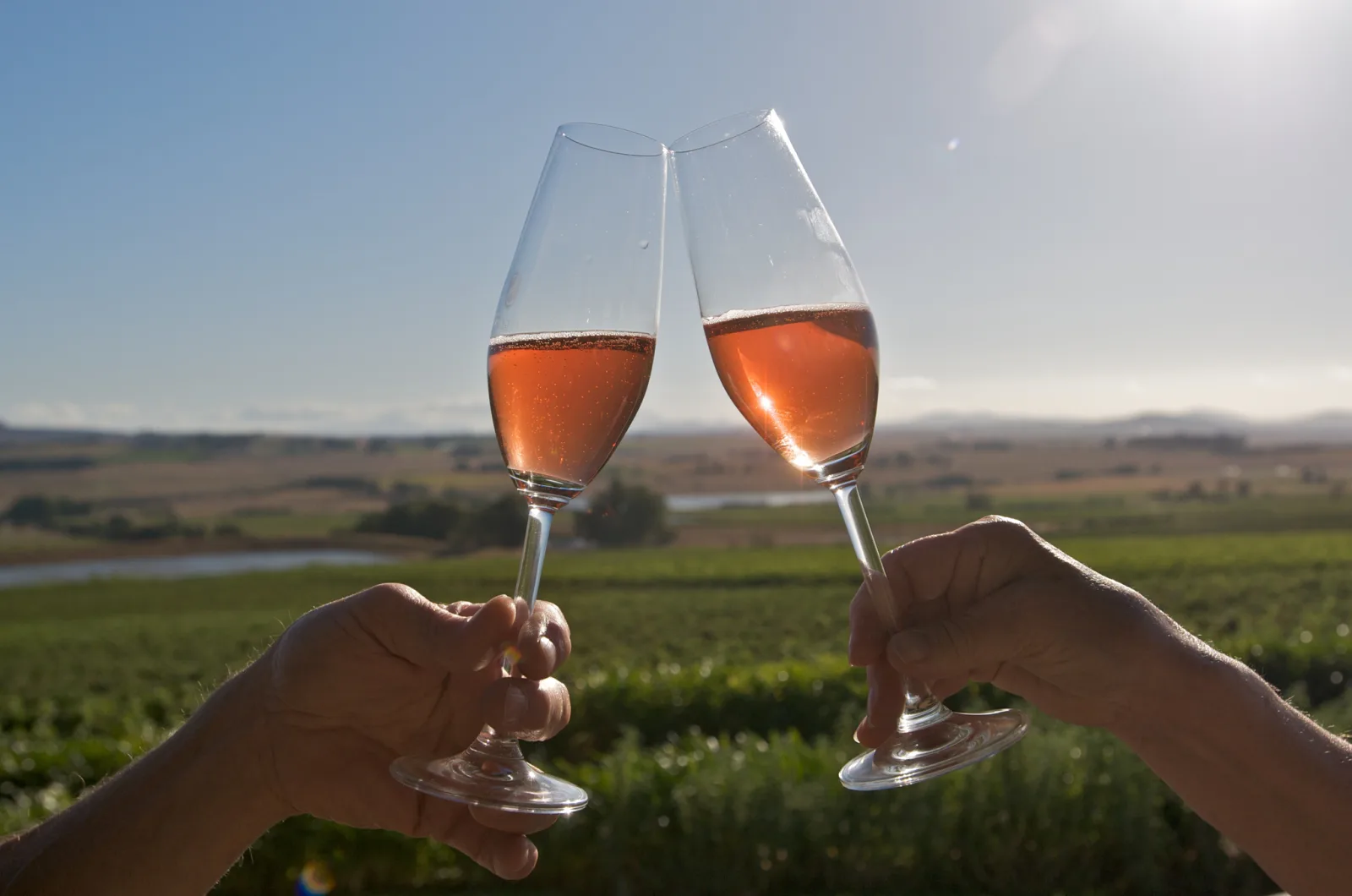 Two glasses of rosé raised together against a vineyard and a distant dam