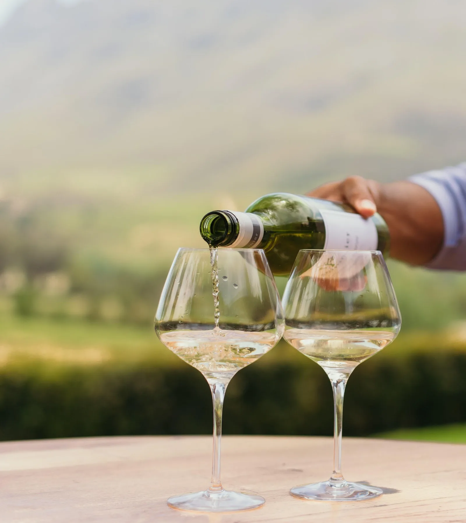 A hand pouring white wine into two glasses on a table above the vines