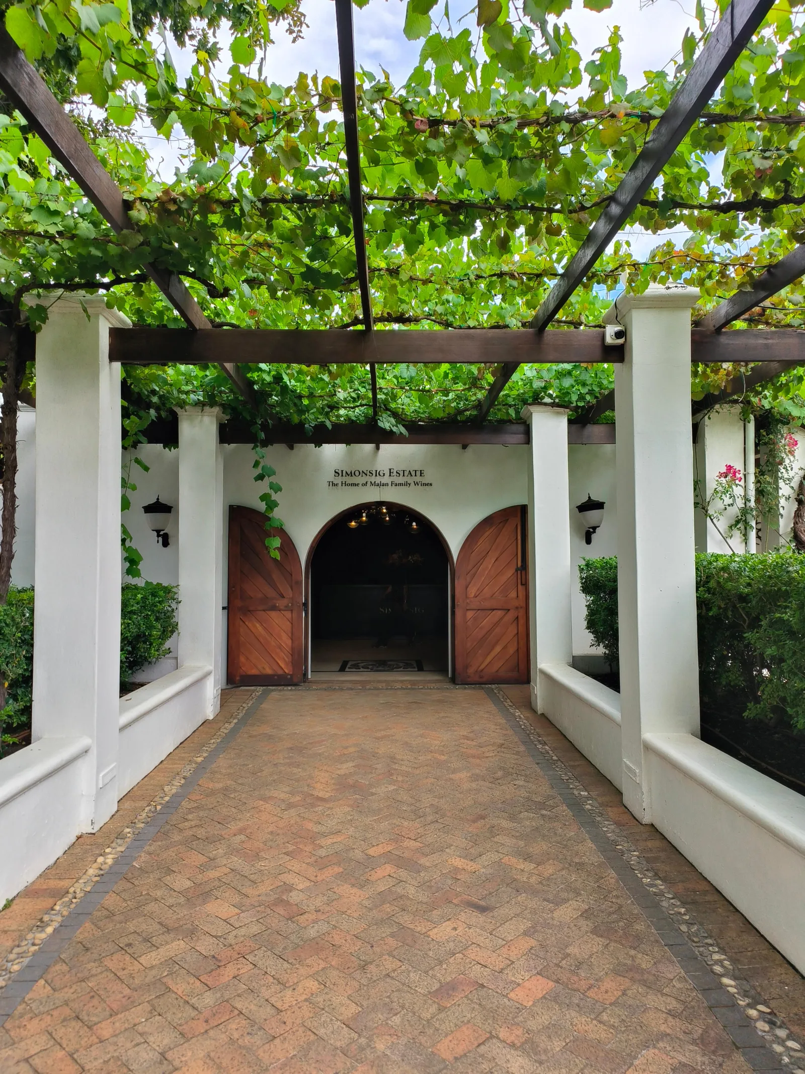 A vine-covered pergola leading to the arched wooden cellar doors of an estate