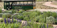 Guest photo from review